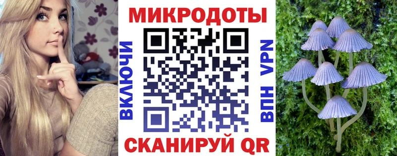 Галлюциногенные грибы GOLDEN TEACHER купить наркотики цена Строитель